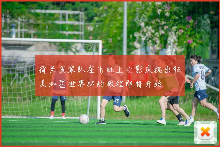 荷兰国家队在飞机上合影庆祝出征美加墨世界杯的旅程即将开始