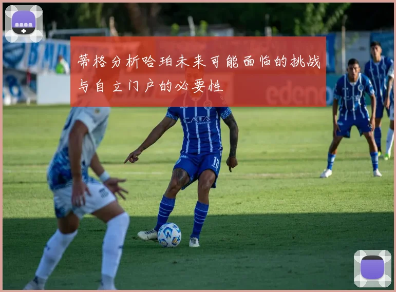 蒂格分析哈珀未来可能面临的挑战与自立门户的必要性