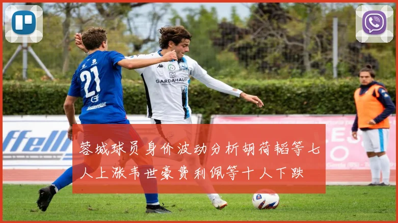 蓉城球员身价波动分析胡荷韬等七人上涨韦世豪费利佩等十人下跌