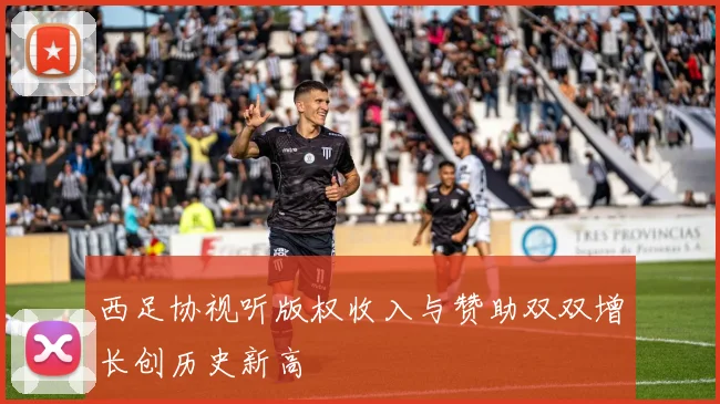 西足协视听版权收入与赞助双双增长创历史新高